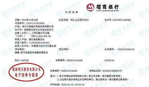 解放軍 醫(yī)療工作隊 央企互聯(lián)網(wǎng)企業(yè) 武漢,我們來了