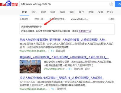 武漢企業公司網站做競價好還是做SEO優化推廣好?