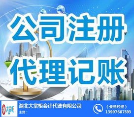 荊門(mén)企業(yè)財(cái)務(wù)管家 代賬會(huì)計(jì)公司與商務(wù)代理服務(wù)的全面解析